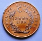30 000 Lira (International Year of Disabled Persons)