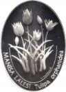 7 500 000 Lira (Tulipa orphanidea)