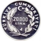 20 000 Lira (Architect Sinan)