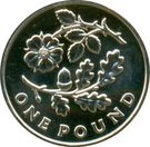 1 Pound - Elizabeth II (4th portrait; Oak and Rose)