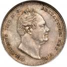 1 Shilling - William IV