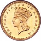 1 Dollar "Large Indian Head" (Type 3)