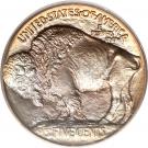 5 Cents "Buffalo Nickel" (raised ground)