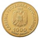 1000 Novih Dinara (Nikola Tesla)