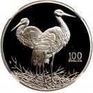 100 Kwacha (White Stork)