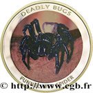 1000 Kwacha (Funnel Web Spider)
