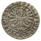 1 Groshen - Friedrich Casimir (Bielsko)