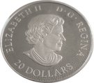 20 Dollars - Elizabeth II (Maple leaf maze)