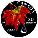 20 Dollars - Elizabeth II (Fall Colours)