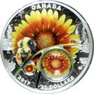 20 Dollars - Elizabeth II (Beauty Under the Sun)