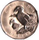 1 Dollar - Elizabeth II (Tuffed Puffin; specimen set)