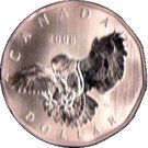 1 Dollar - Elizabeth II (Snowy owl; specimen set)