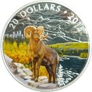 20 Dollars - Elizabeth II (Bighorn Sheep)