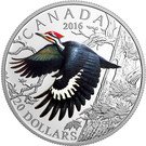 20 Dollars - Elizabeth II (Pileated Woodpecker)