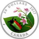 20 Dollars - Elizabeth II (Dogbane Beetle)