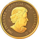200 Dollars - Elizabeth II (Fragmented Face)