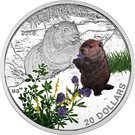 20 Dollars - Elizabeth II (Woodchuck)