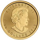 10 Dollars - Elizabeth II (¼ oz. gold bullion coinage)