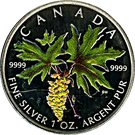 5 Dollars - Elizabeth II (1 oz. Big Leaf Maple; coloured)