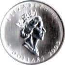5 Dollars - Elizabeth II (1 oz. Summer Maple Leaf; coloured)