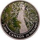 20 Dollars - Elizabeth II (Spring)