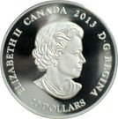 20 Dollars - Elizabeth II (Contemporary Canadian Art)