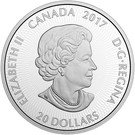 20 Dollars - Elizabeth II (Maple Leaves)