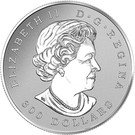 300 Dollars - Elizabeth II (Maple Leaf Forever)