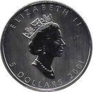5 Dollars - Elizabeth II (1 oz. Autumn Maple Leaf; coloured)