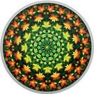 20 Dollars - Elizabeth II (Maple Leaves)