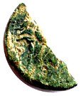 Semis of Emporia (Indigetes, region of Empúries ; As with Pegasus cut in two)
