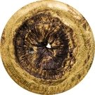 2 Dollars - Elizabeth II (Chergach Meteorite)