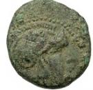 Unit - Lysimachus (Lysimacheia mint)