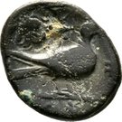 AE15 - Timocharis (Paphos)