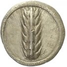 Stater - Metapontion