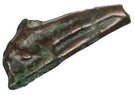 Dolphin - Olbia
