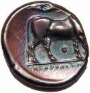 Nomos / Stater - Neapolis
