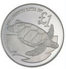 1 Pound (Cyprus Green Turtle)