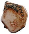 1 Karshapana - Magadh - Mauryan Silver Punch Marked Coin (321 BC to 185 BCE)