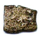 ¼ Karshapana - Maurya Empire