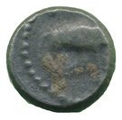 Kshastrap type éléphant