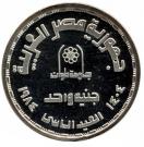 1 Pound  (Helwan University)