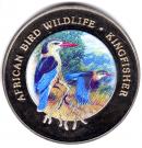 1000 Francos CFA (Kingfisher)