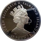 25 Pounds - Elizabeth II (Royal Wedding)