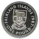 1 Pound - Elizabeth II (3rd portrait; Silver Proof Issue)