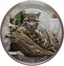 10 Dollars - Elizabeth II (The Clouded Leopard)