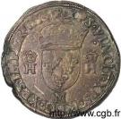Teston - Henri II (5th type)