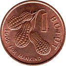 1 Butut (FAO)