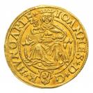 Forint - János Szapolyai (1526-1540)