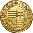 Forint - János Hunyadi, Governor (1446-1553)